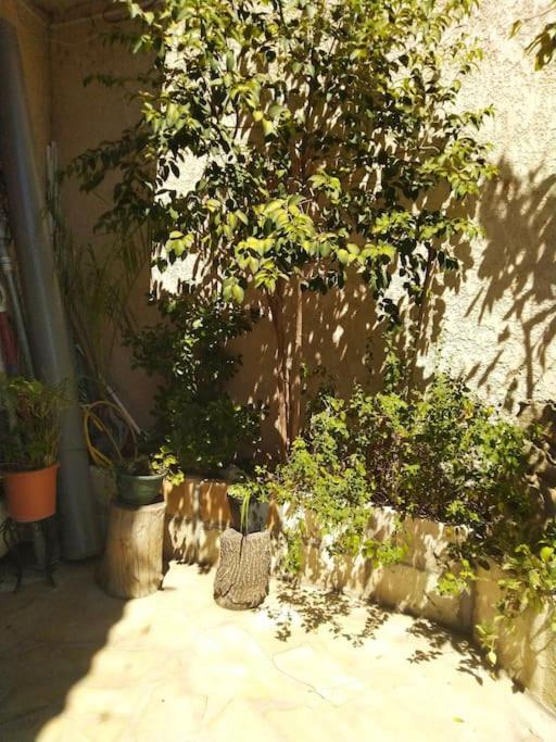 Studio Ideal Pour Deux Voyageurs Sur Marseille Marselha Exterior foto